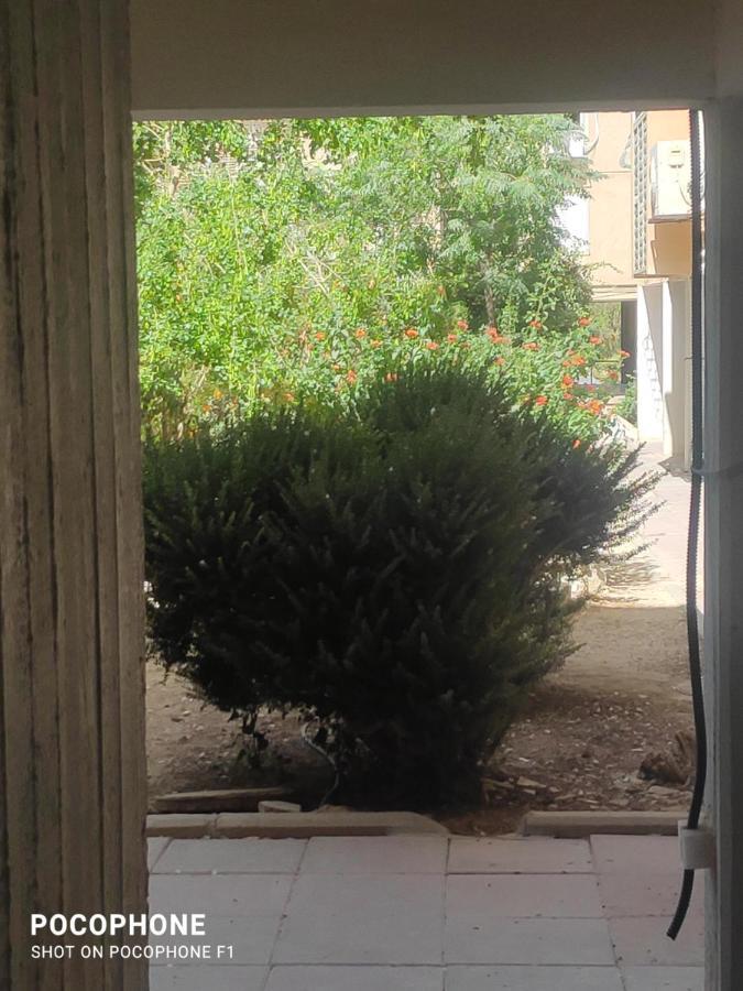 סוויטה של אלון Apartment Arad Ngoại thất bức ảnh